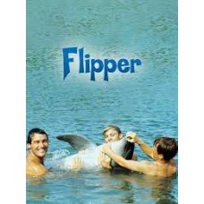 Flipper