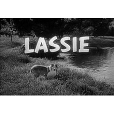 Lassie