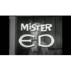 Mister ED