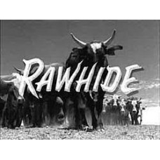 Rawhide