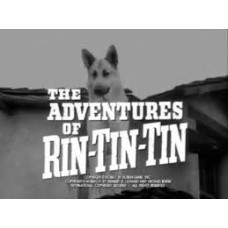 The Adventures of Rin Tin Tin